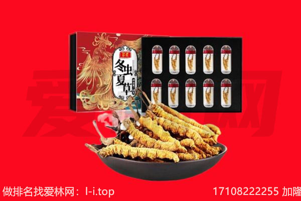 毕节赫章县回收虫草.jpg